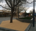 Nicholson Street Mall Upgrade