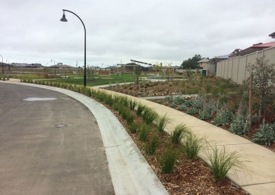 Landscaping, street-scaping and plantings which will grow to soften the edges of the walk way - Barwarre Gardens, Geelong
