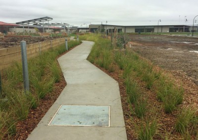 Extensive plantings - Barwarre Gardens, Geelong