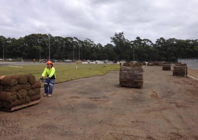 turf laying